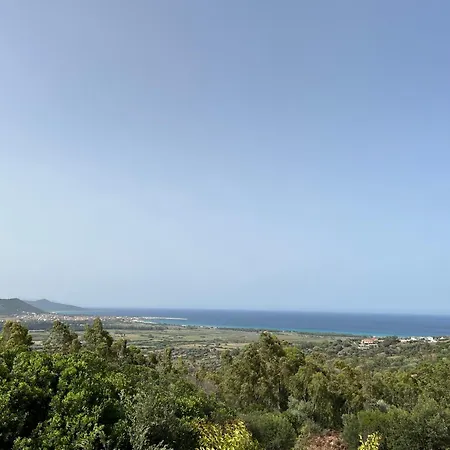 Su Argiolas